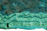 Teal Botryoidal Chrysocolla and Malachite - Chile #310151-1